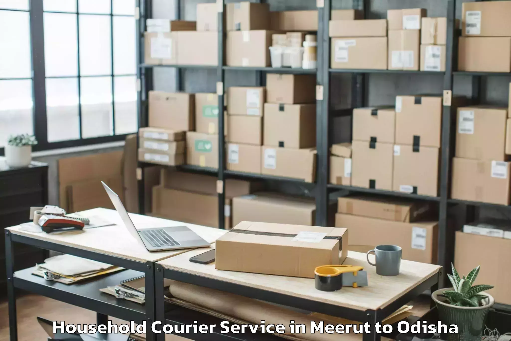 Affordable Meerut to Lephripara Household Courier